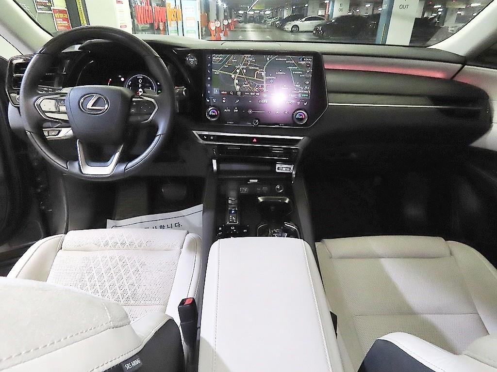Lexus RX - Vista 10
