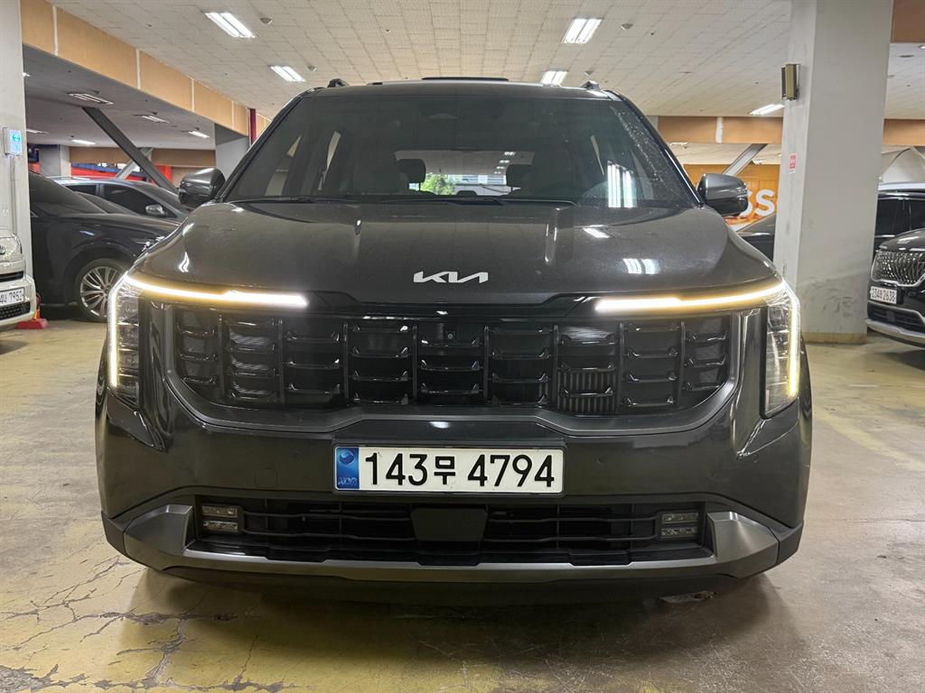 KIA Carnival - Vista 2
