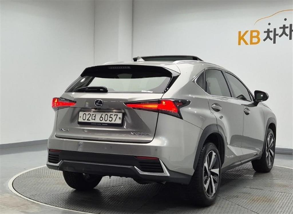Lexus NX - Vista 4