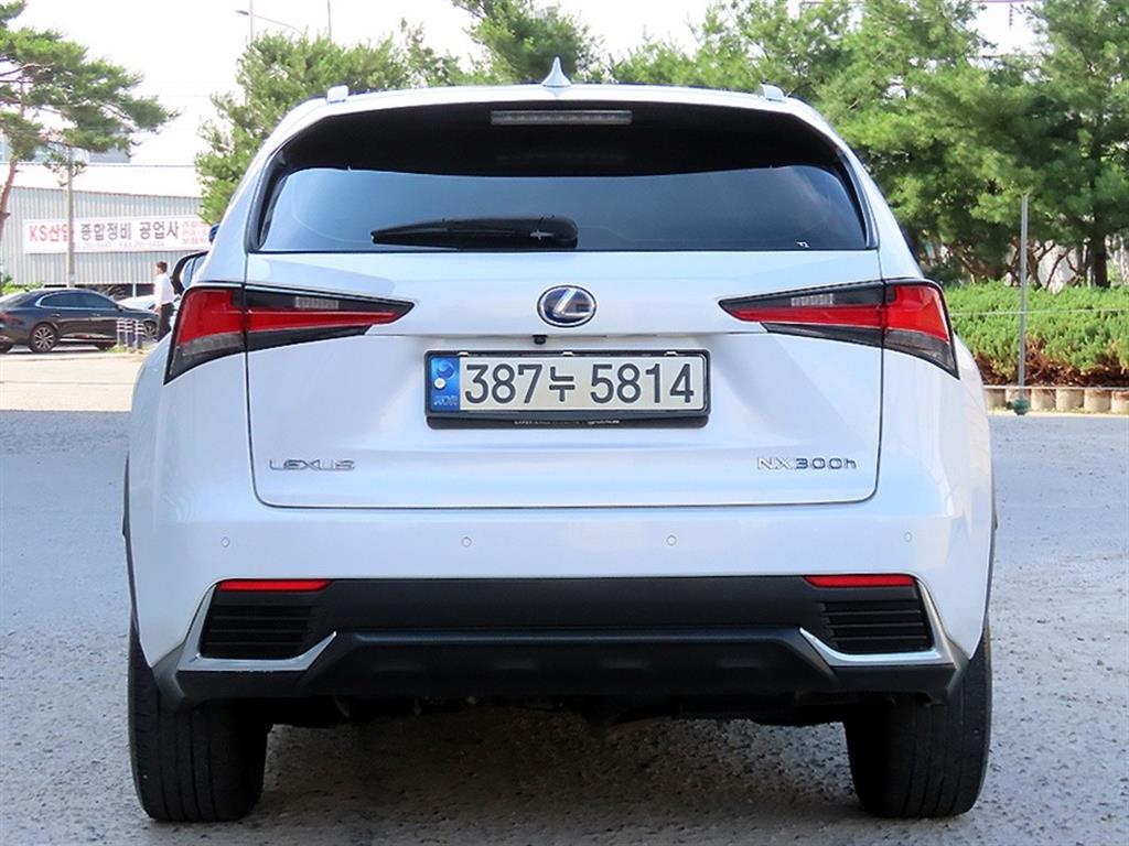 Lexus NX - Vista 4
