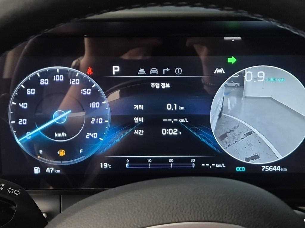 KIA Carnival - Vista 6