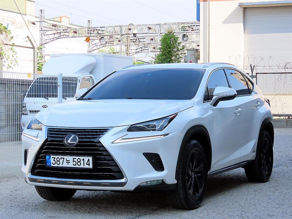 Lexus NX - Vista 2