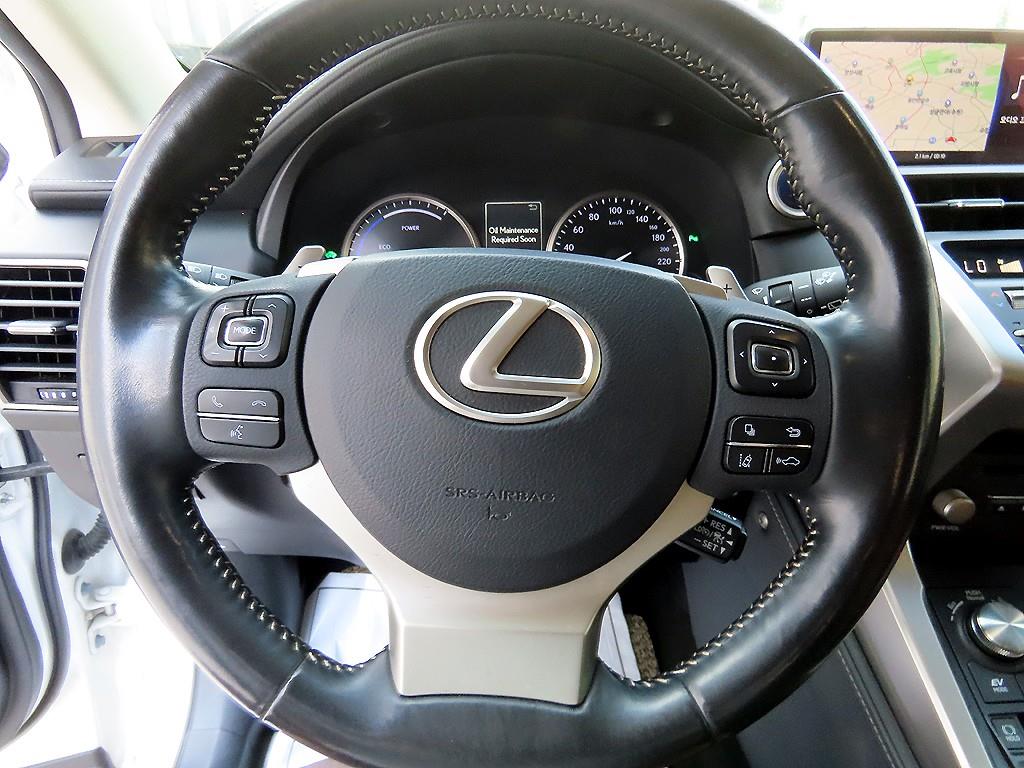 Lexus NX - Vista 8