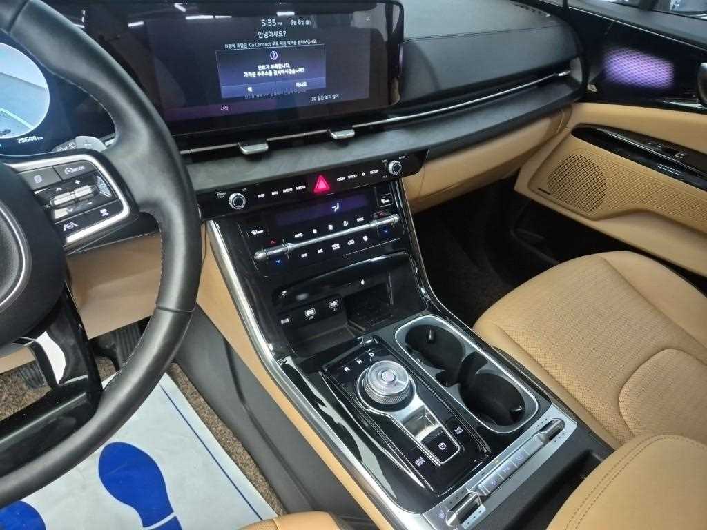 KIA Carnival - Vista 10