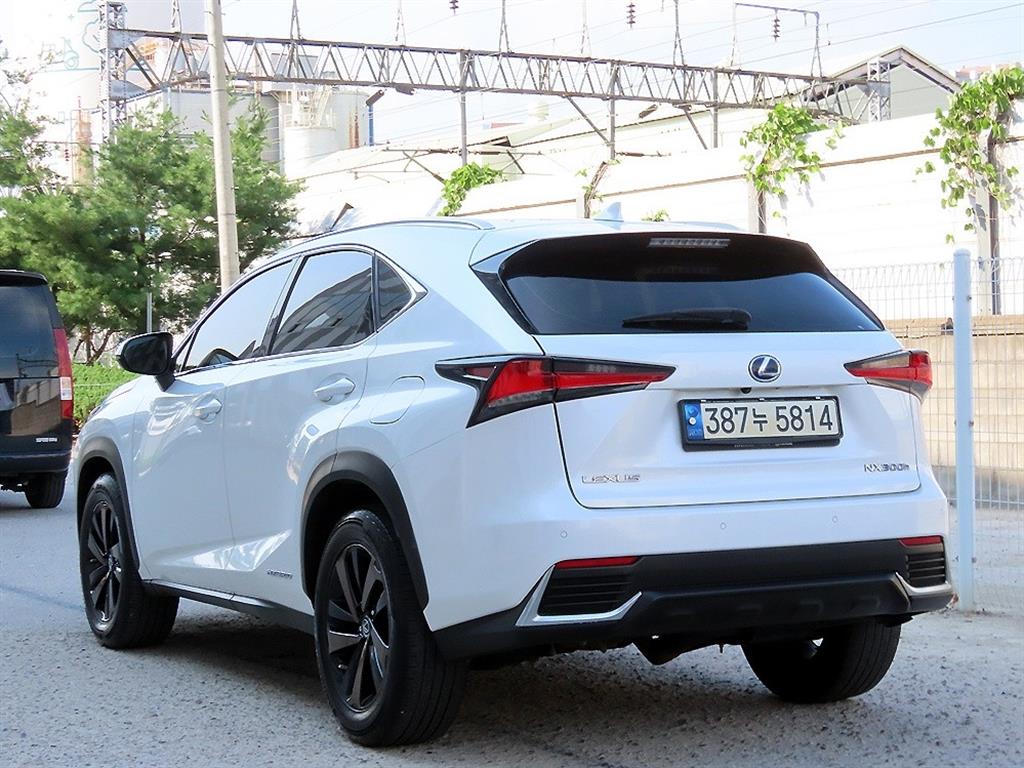 Lexus NX - Vista 3