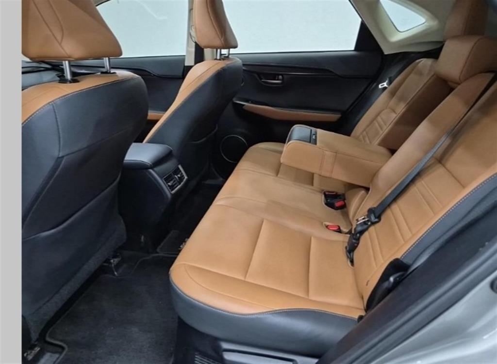 Lexus NX - Vista 12