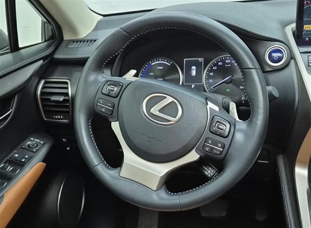 Lexus NX - Vista 9