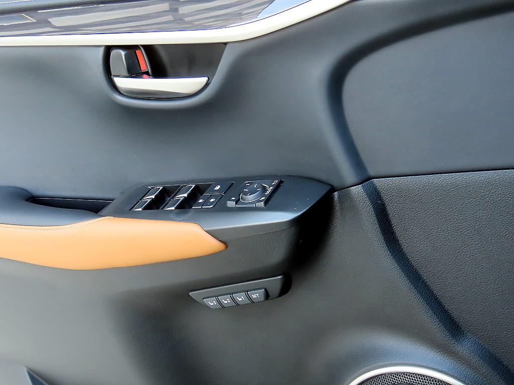 Lexus NX - Vista 11