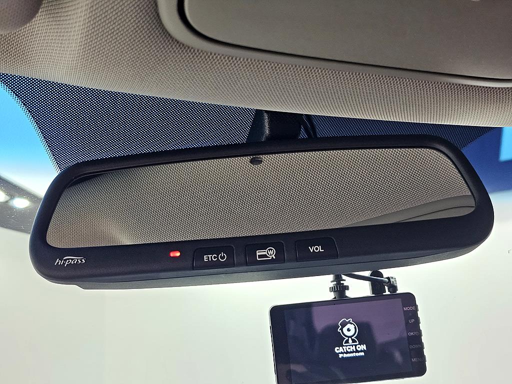 KIA Carnival - Vista 12