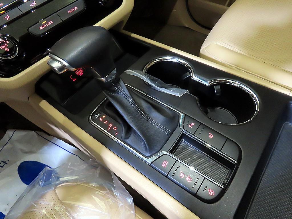 KIA Carnival - Vista 12