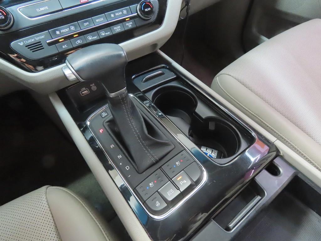 KIA Carnival - Vista 12