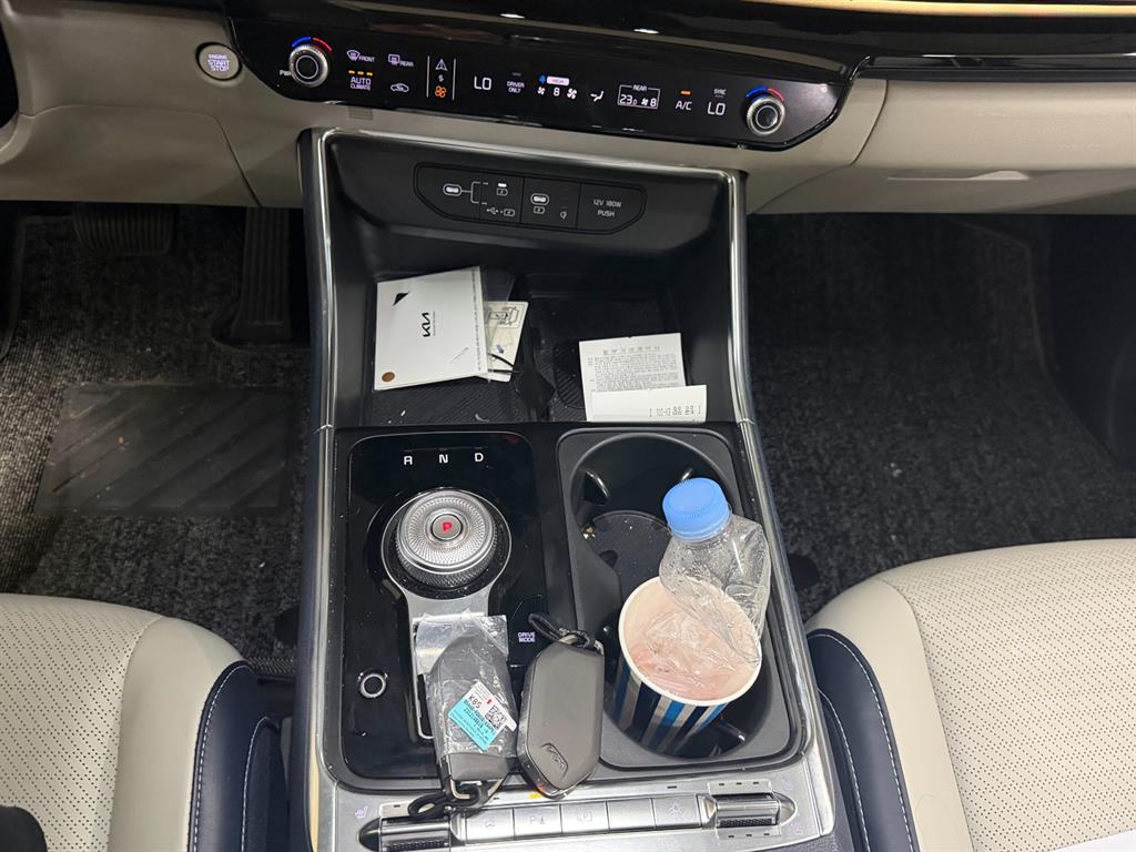 KIA Carnival - Vista 12