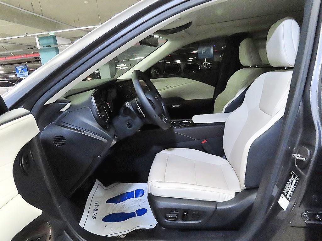 Lexus RX - Vista 6