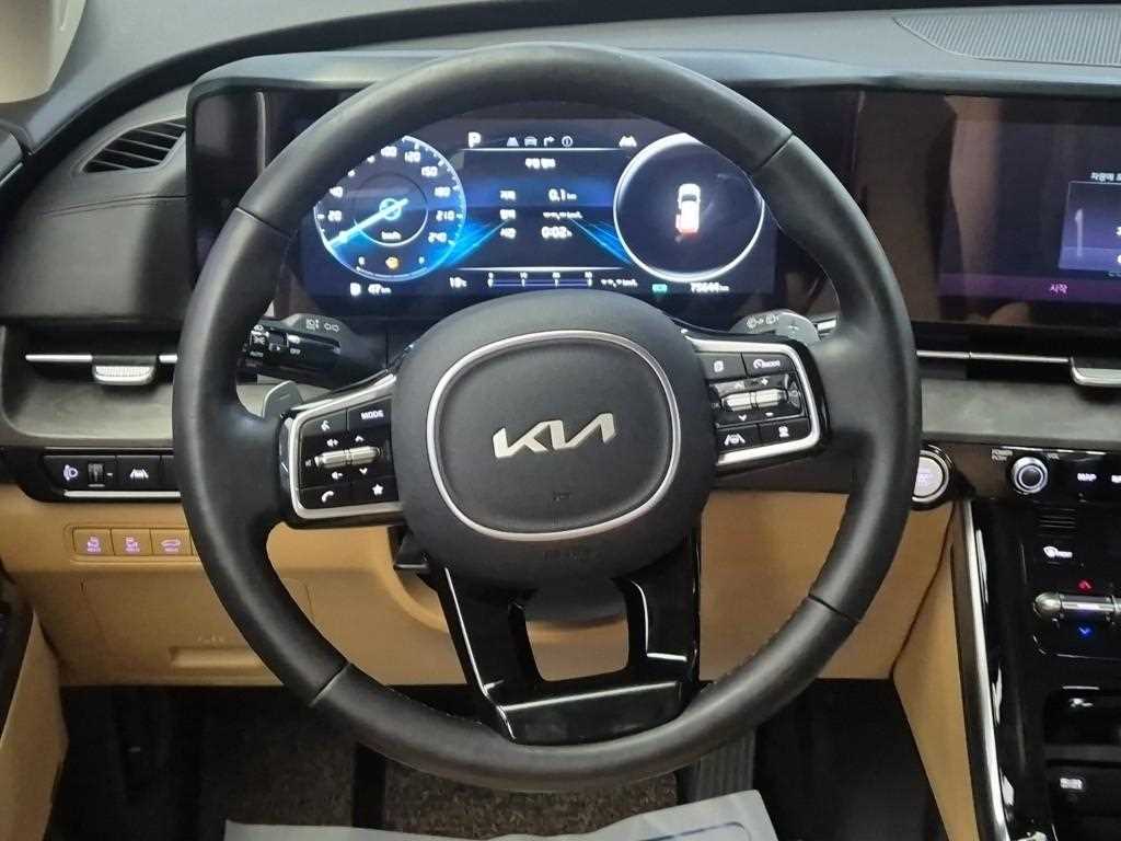 KIA Carnival - Vista 9