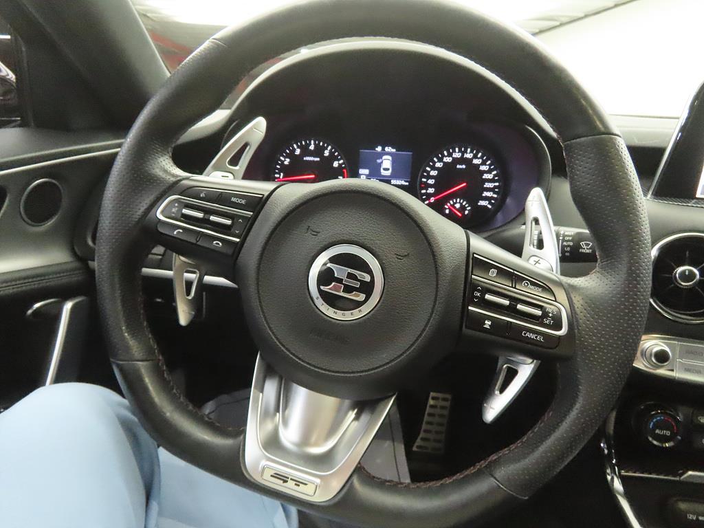 KIA Stinger - Vista 8