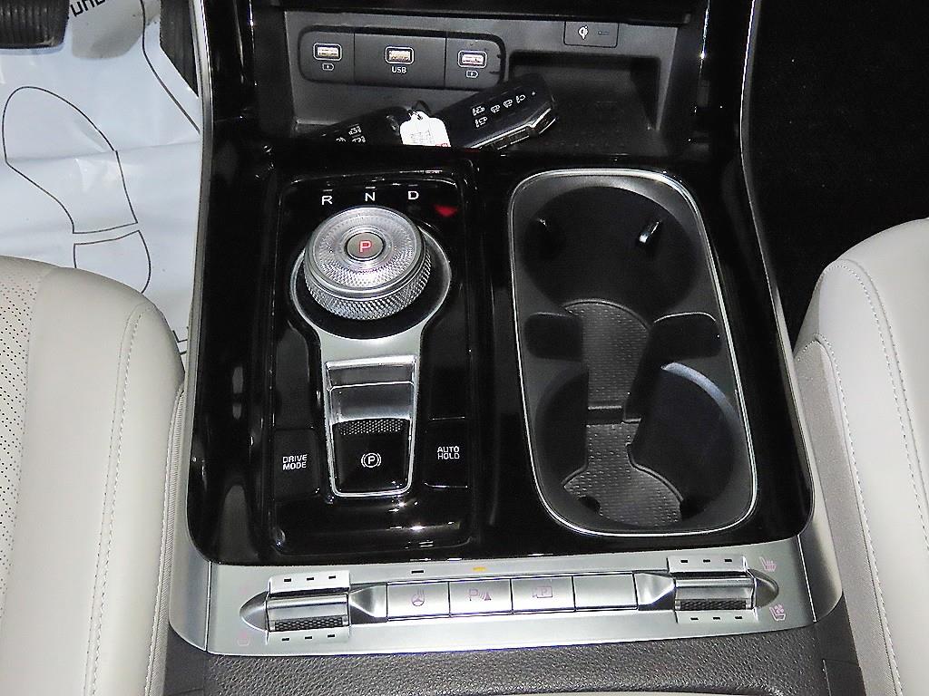 KIA Carnival - Vista 12