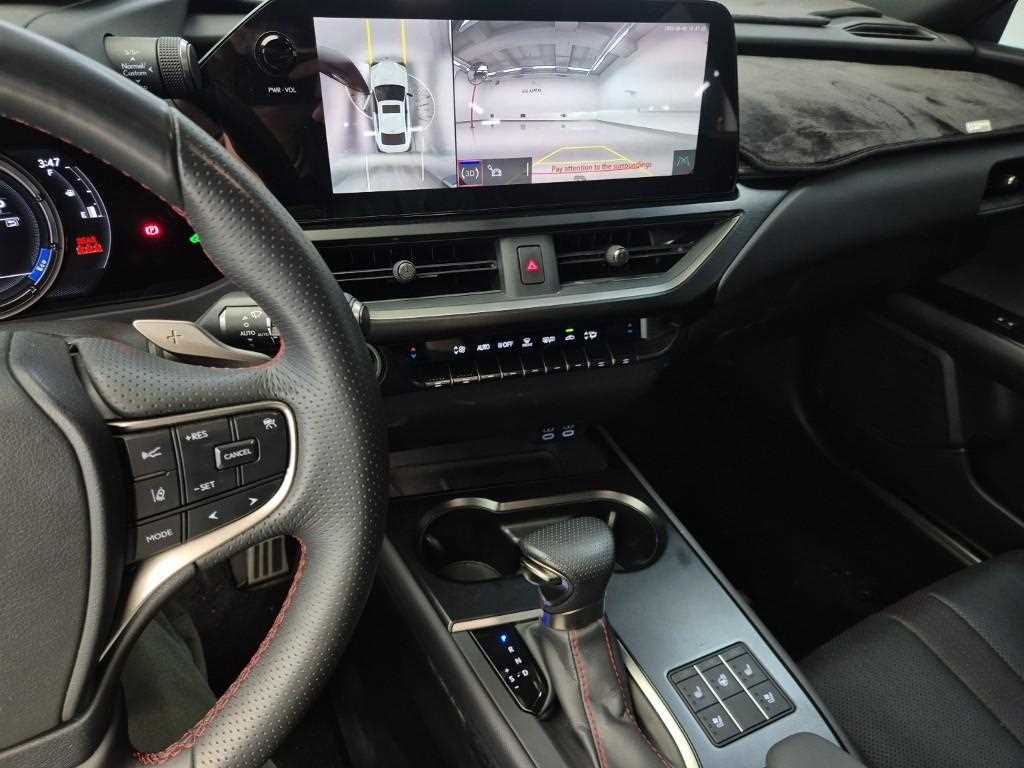 Lexus UX - Vista 10