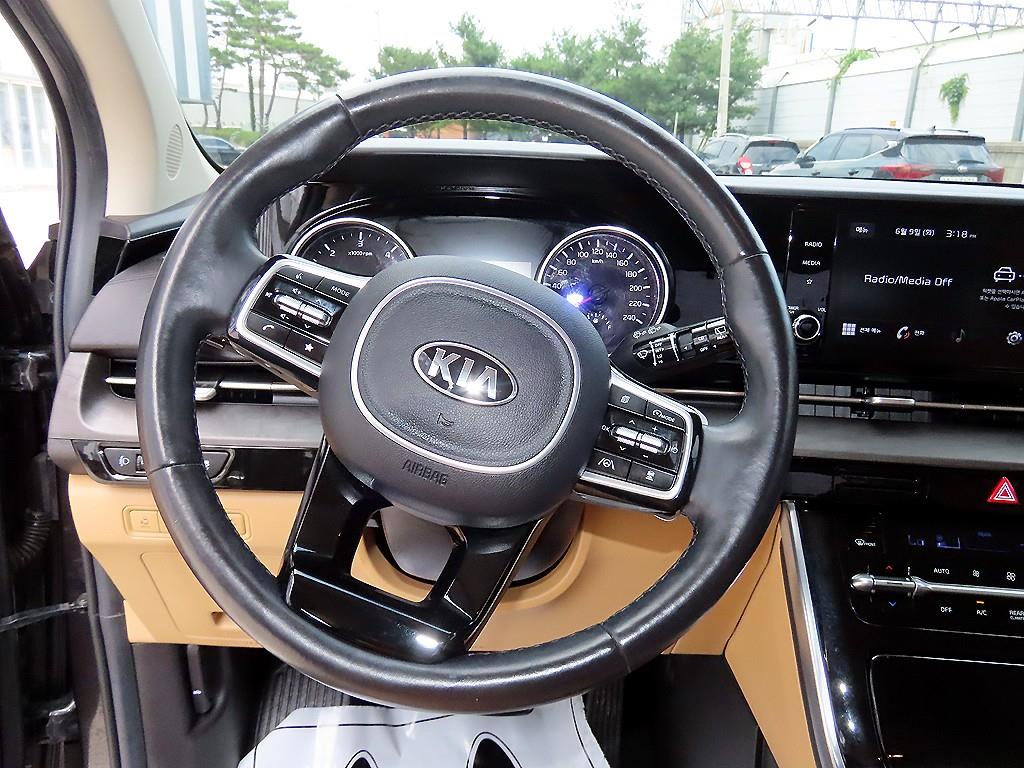 KIA Carnival - Vista 8
