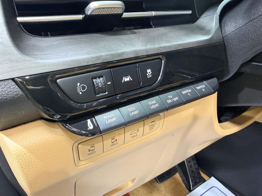 KIA Carnival - Vista 8