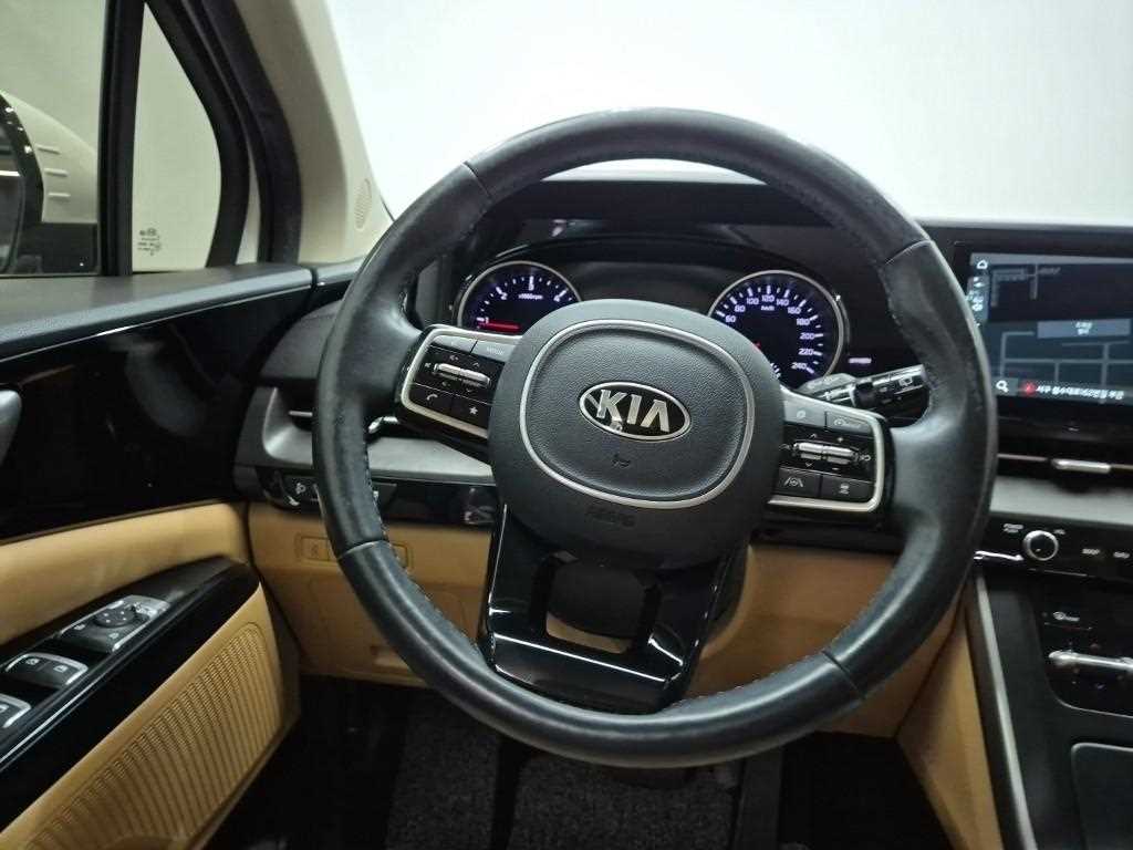 KIA Carnival - Vista 9