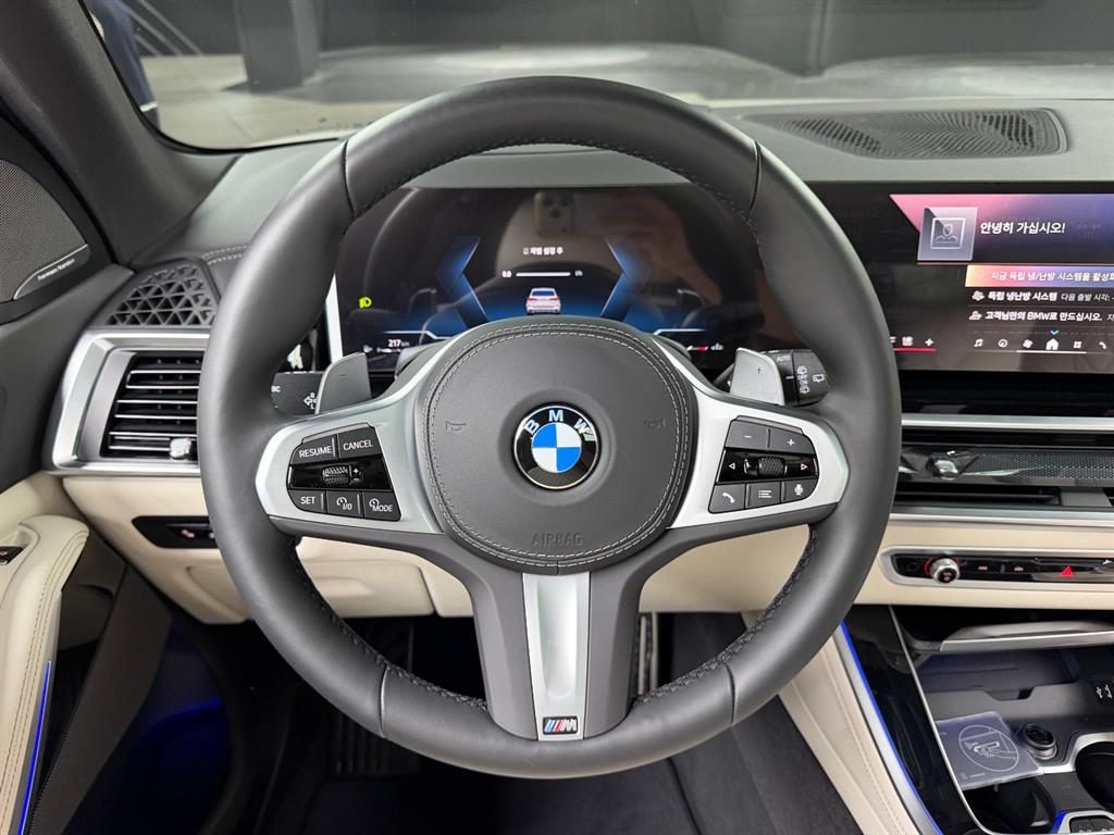BMW X5 - Vista 8