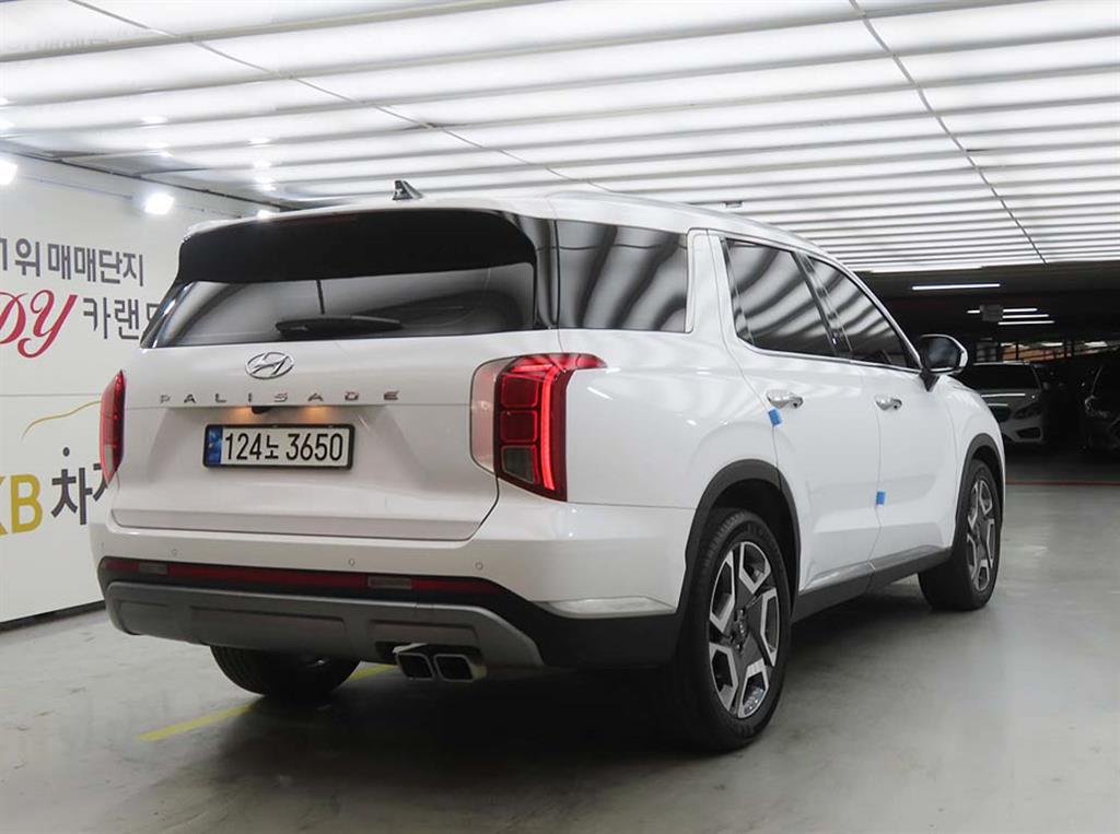 HYUNDAI Palisade - Vista 4
