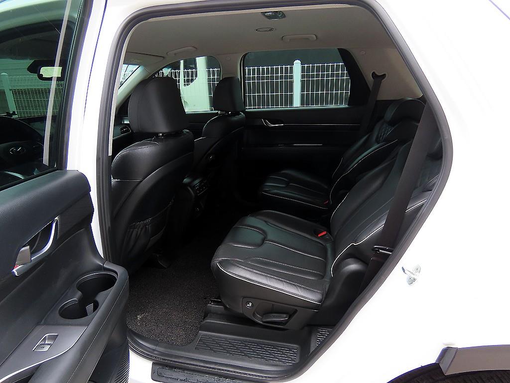 HYUNDAI Palisade - Vista 6