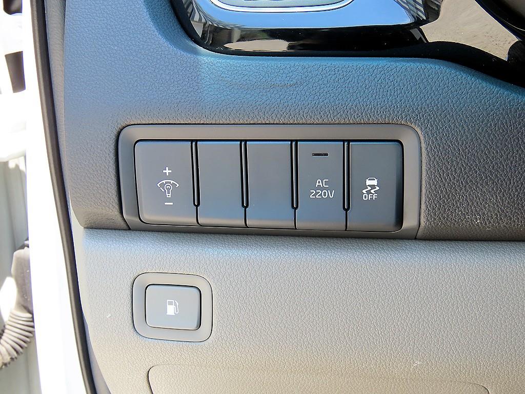 KIA Carnival - Vista 12
