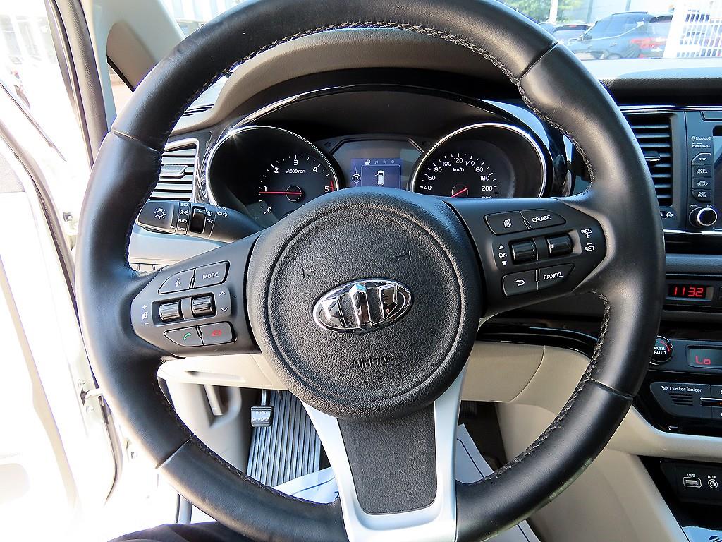 KIA Carnival - Vista 8