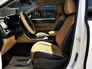 KIA Carnival - Vista 10