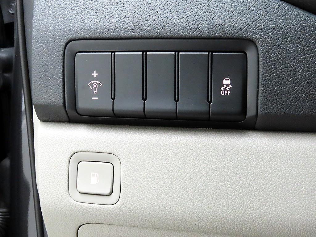 KIA Carnival - Vista 12
