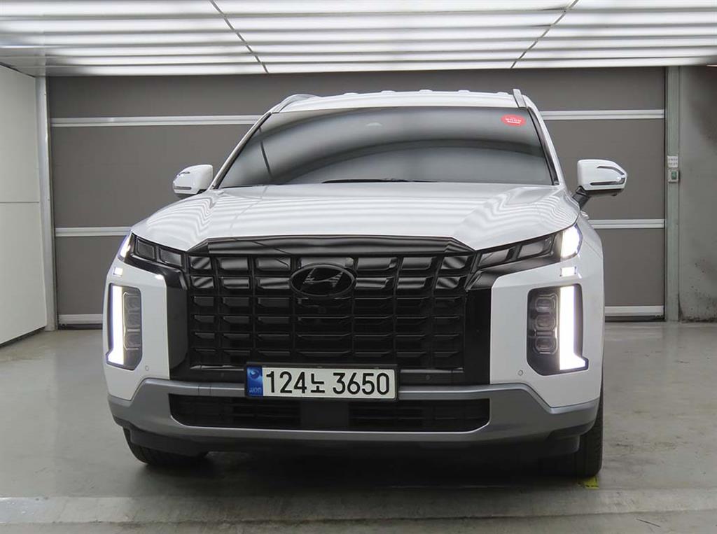 HYUNDAI Palisade - Vista 2
