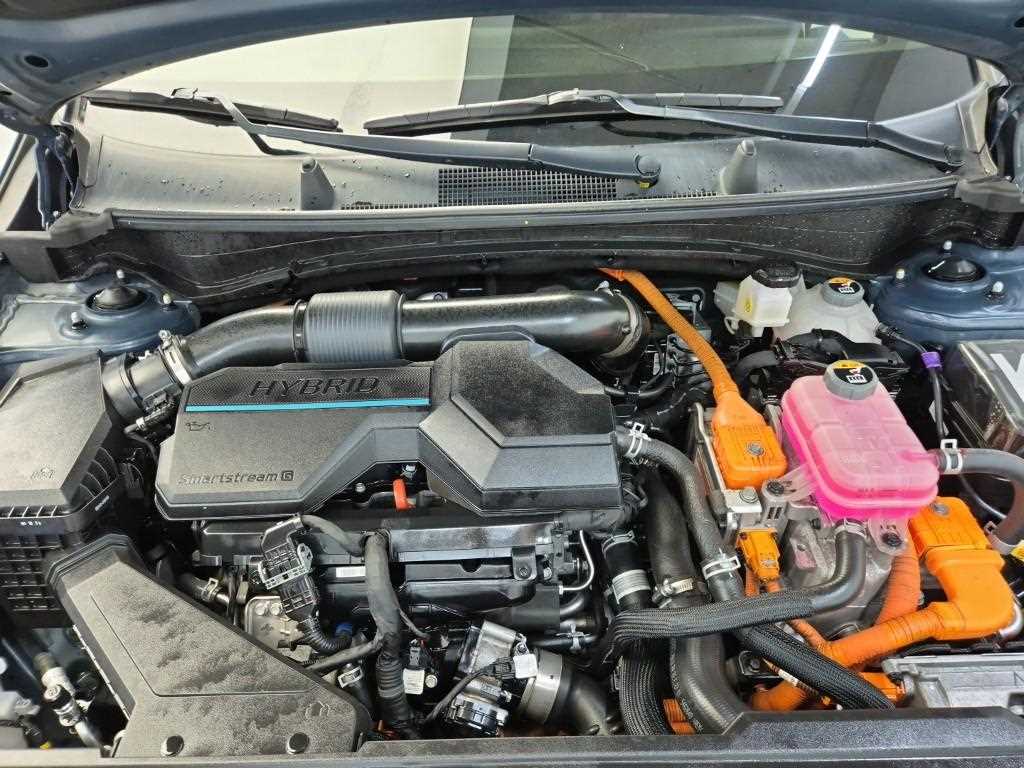 KIA Sportage - Vista 5