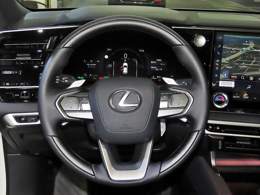 Lexus RX - Vista 8