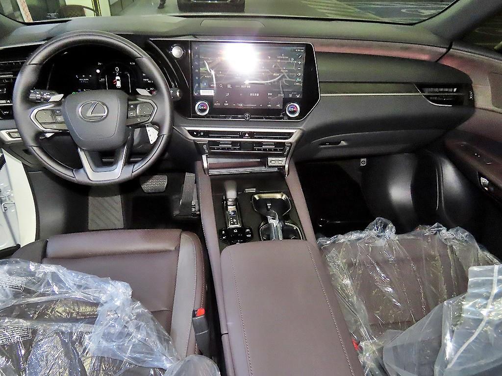 Lexus RX - Vista 10