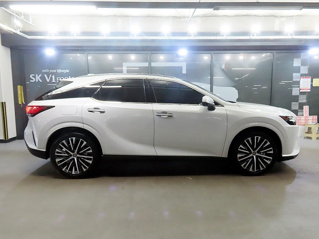 Lexus RX - Vista 3