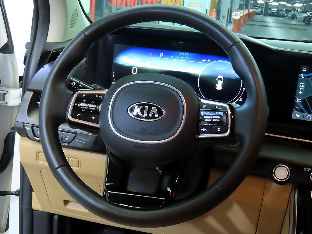 KIA Carnival - Vista 8