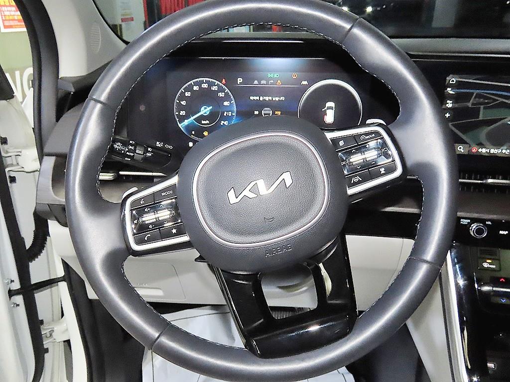 KIA Carnival - Vista 8