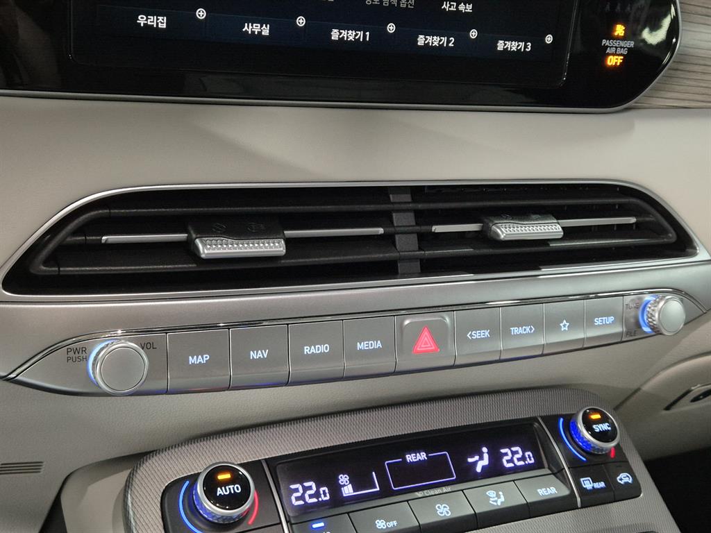 HYUNDAI Palisade - Vista 10