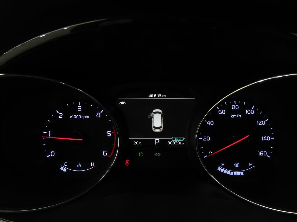 KIA Carnival - Vista 9