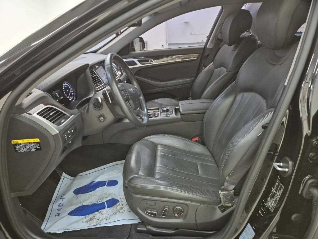 HYUNDAI Genesis - Vista 11