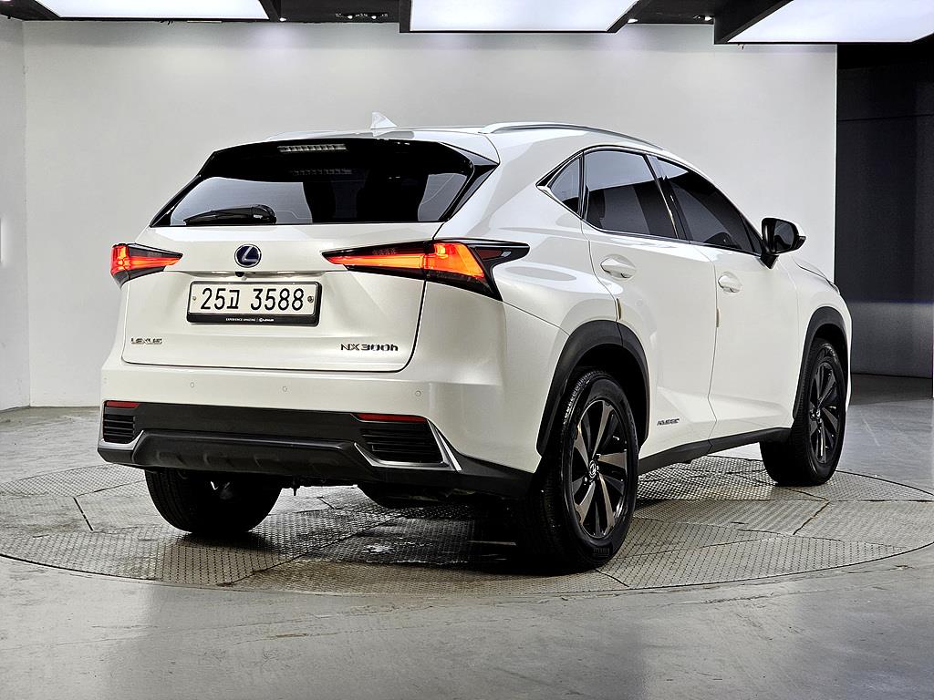 Lexus NX - Vista 4