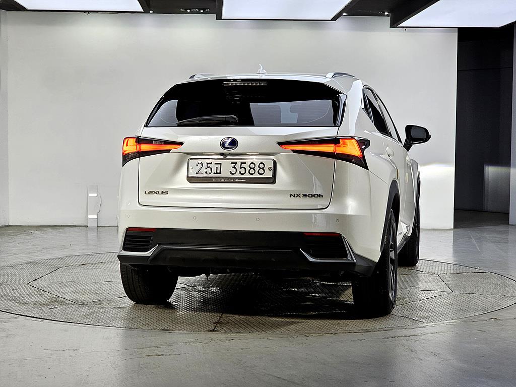 Lexus NX - Vista 3