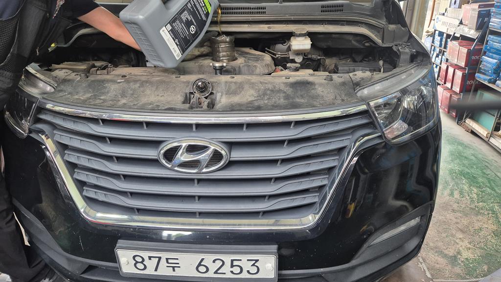 HYUNDAI Starex - Vista 5