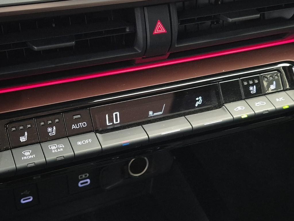 Toyota Prius - Vista 12
