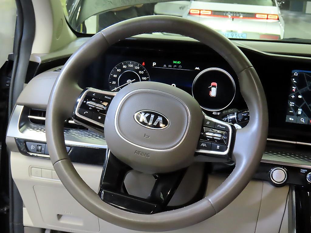 KIA Carnival - Vista 8