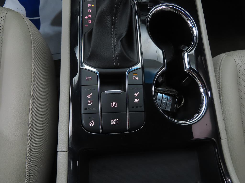 KIA Carnival - Vista 11