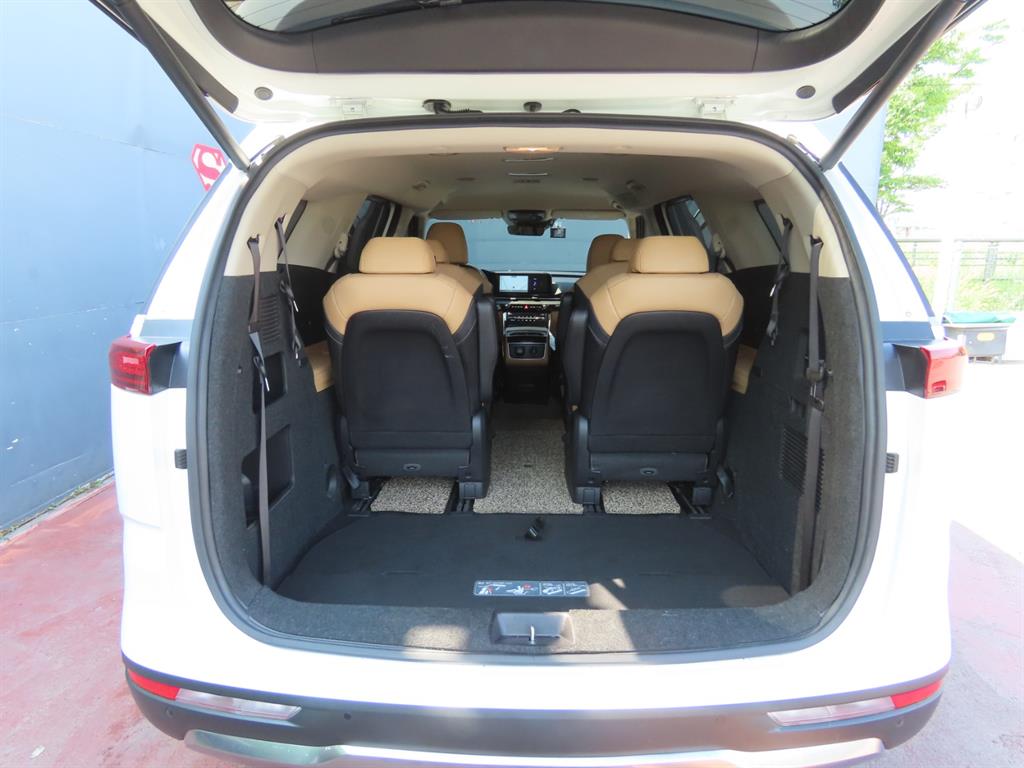 KIA Carnival - Vista 9