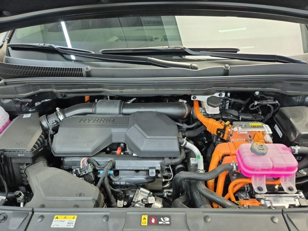 KIA Carnival - Vista 7