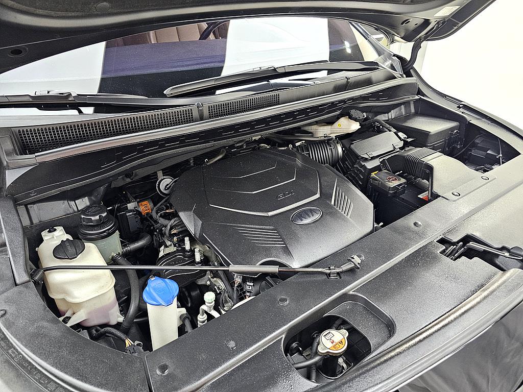 KIA Carnival - Vista 8